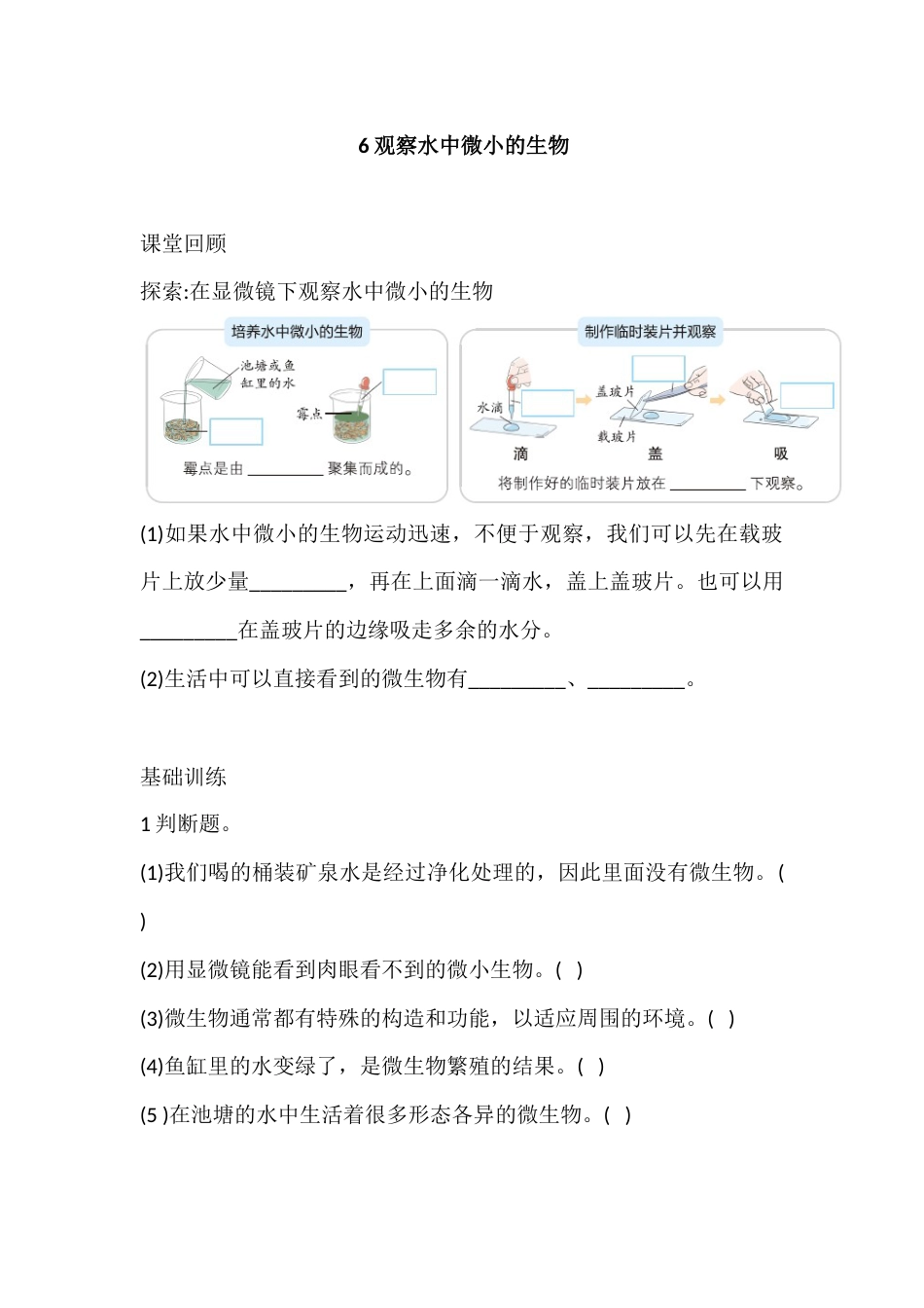 六年级上册科学1.6 观察水中微小的生物 课时练（含答案）.docx_第1页