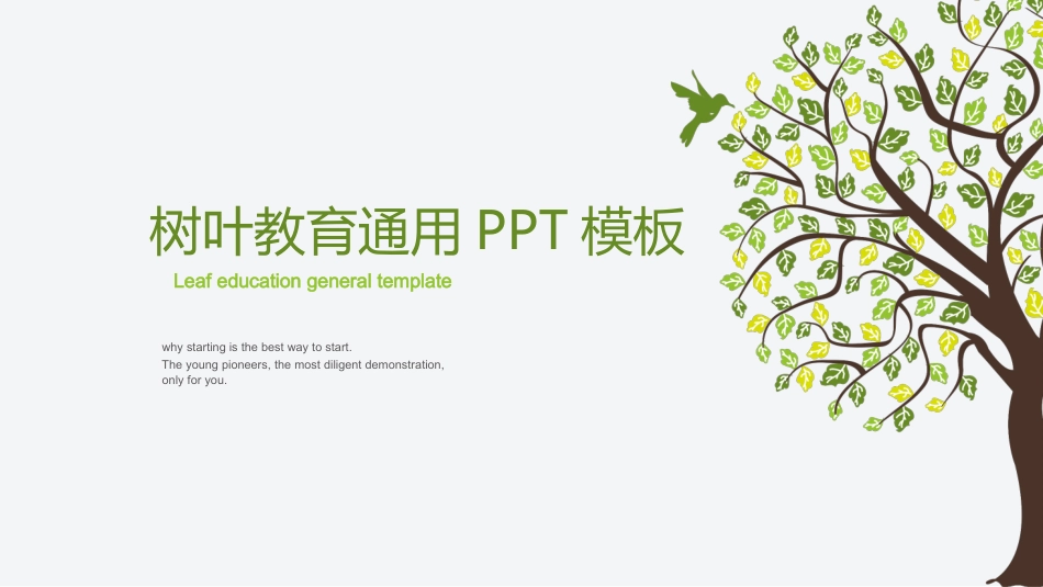 PPT模板-教育说课(592).pptx_第1页