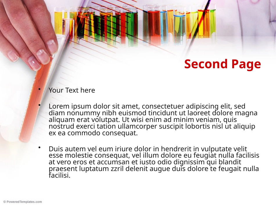 PPT模板-教育说课(714).pptx_第2页