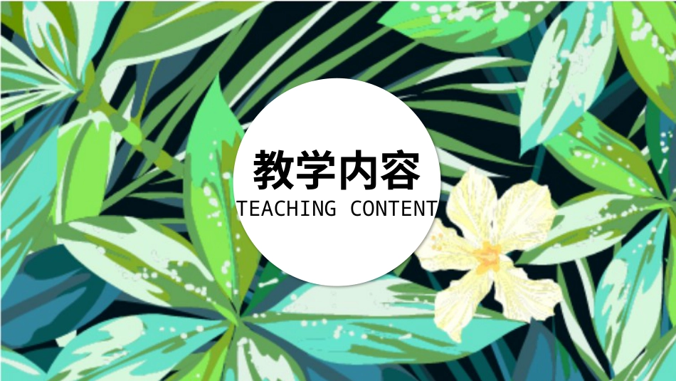 PPT模板-教育说课(103).pptx_第3页