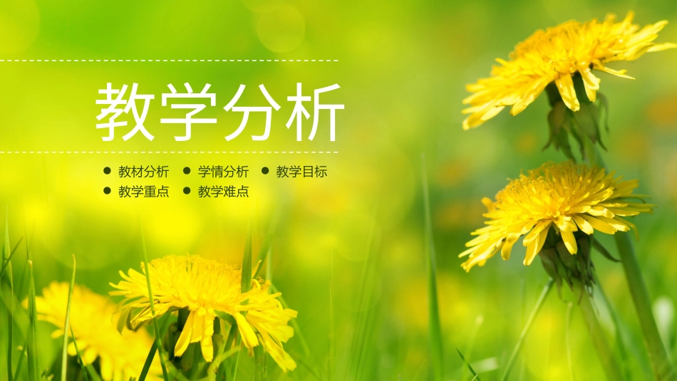 PPT模板-教育说课(196).pptx_第3页