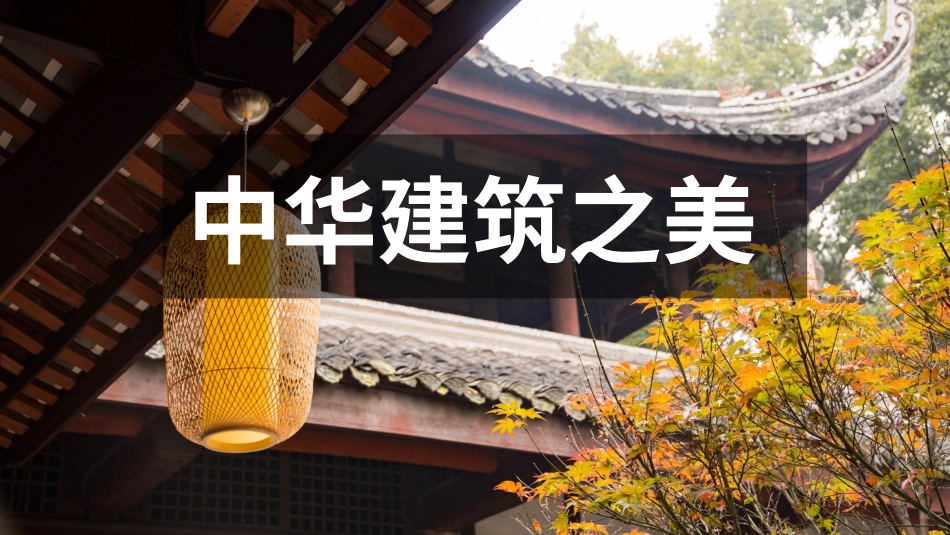 PPT模板-教育说课(503).pptx_第1页