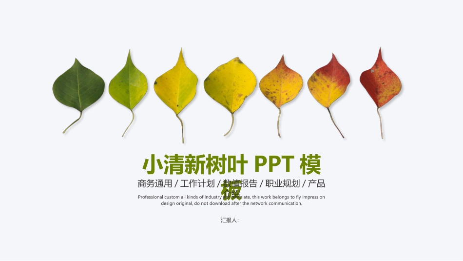 PPT模板-教育说课(241).pptx_第1页
