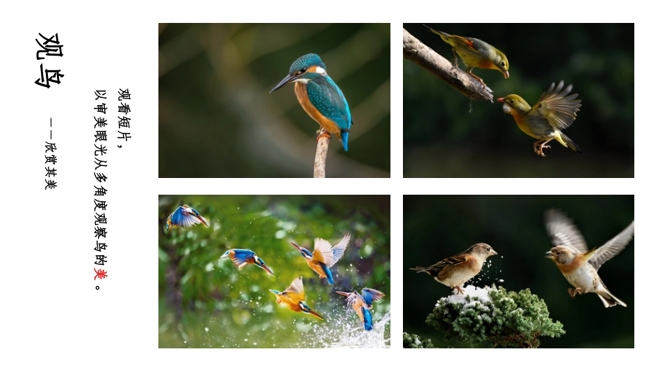 PPT模板-教育说师(315).pptx_第2页