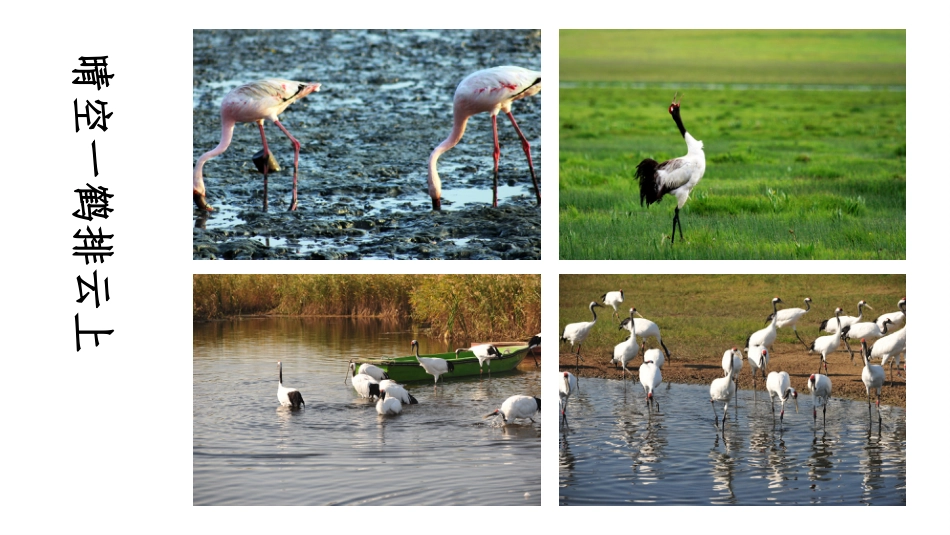 PPT模板-教育说师(315).pptx_第3页