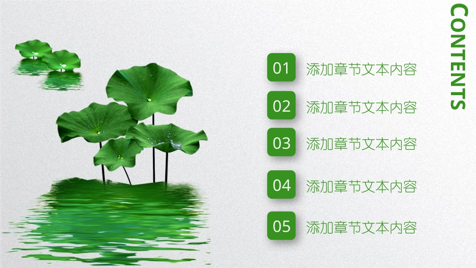 PPT模板-教育说师(323).pptx_第2页